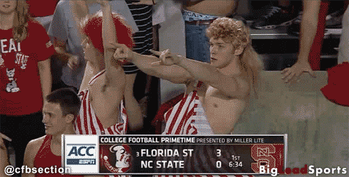 nc-state-gangnam-style-college-football-fan-2012.gif
