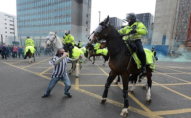 newcastle-fan-punches-police-horse-e1366032679312.jpg