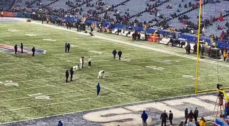 VIDEO Cameras Caught Ravens Kicker Justin Tucker Getting Into It With