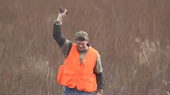 Dude Catches a Bird With His Hand (Video) | Total Pro Sports - 595 x 335 jpeg 26kB