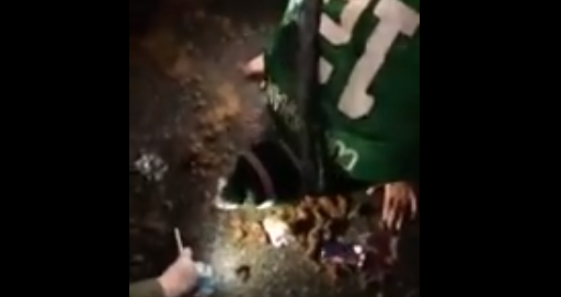 Disturbing Eagles Fan Eats Horse Poop To Celebrate Super ... - 512 x 271 png 117kB