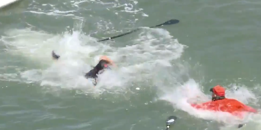 Paddleboarder & Kayaker Jump In Water To Fight Over Home Run Ball ...