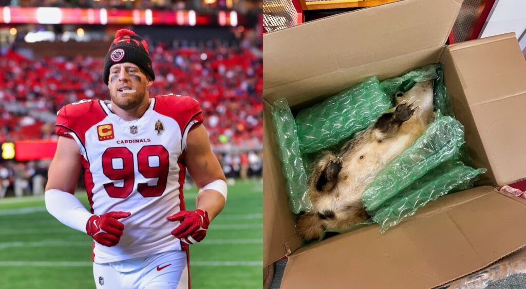 JJ Watt running without helmet on while picture shows stuffed badger in box