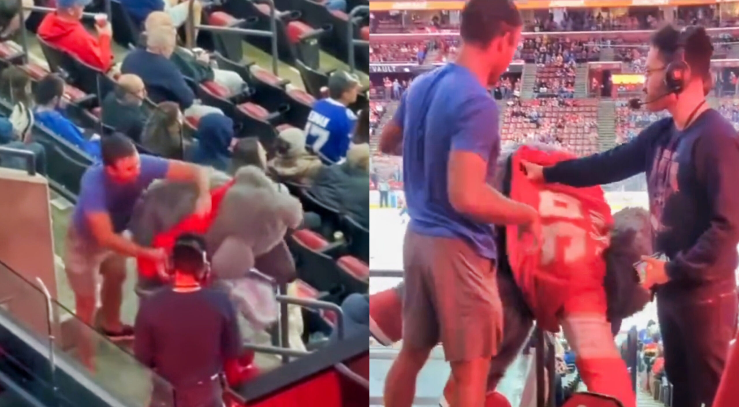 Lightning Fan Fought The Panthers' Mascot, Team Investigating