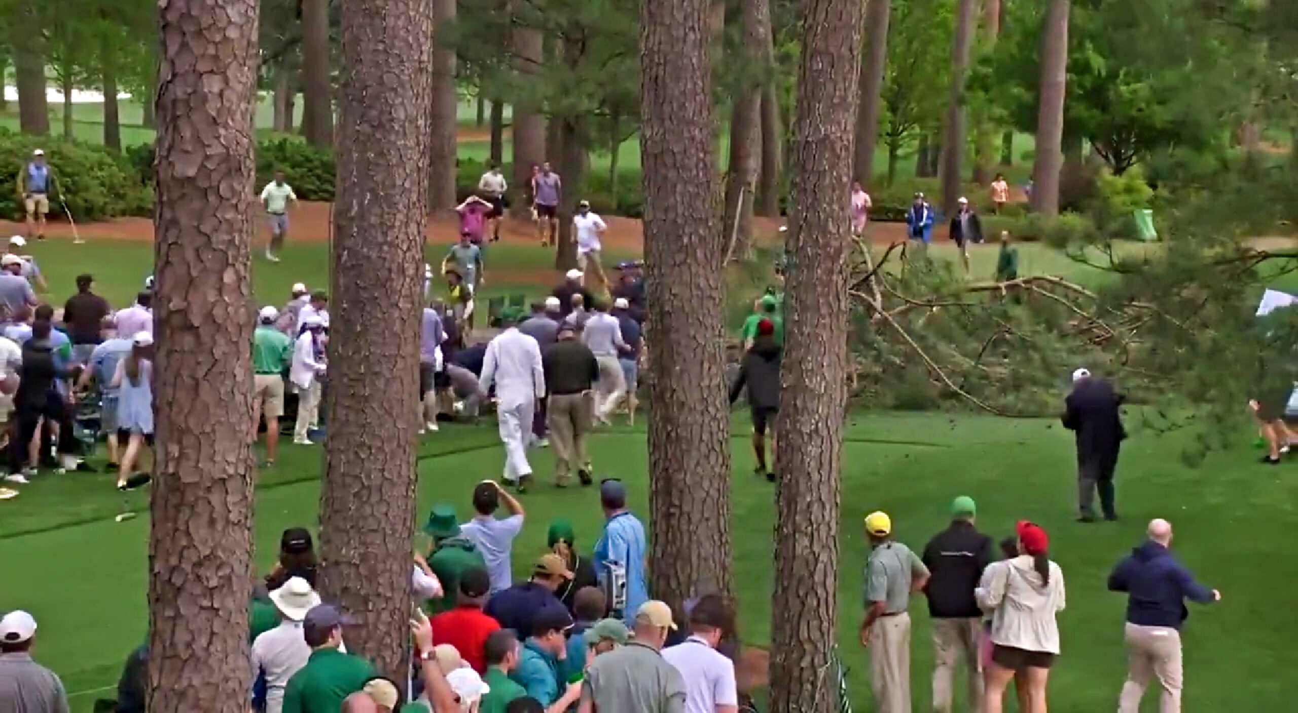 Two Huge Trees Collapse During Masters In Augusta