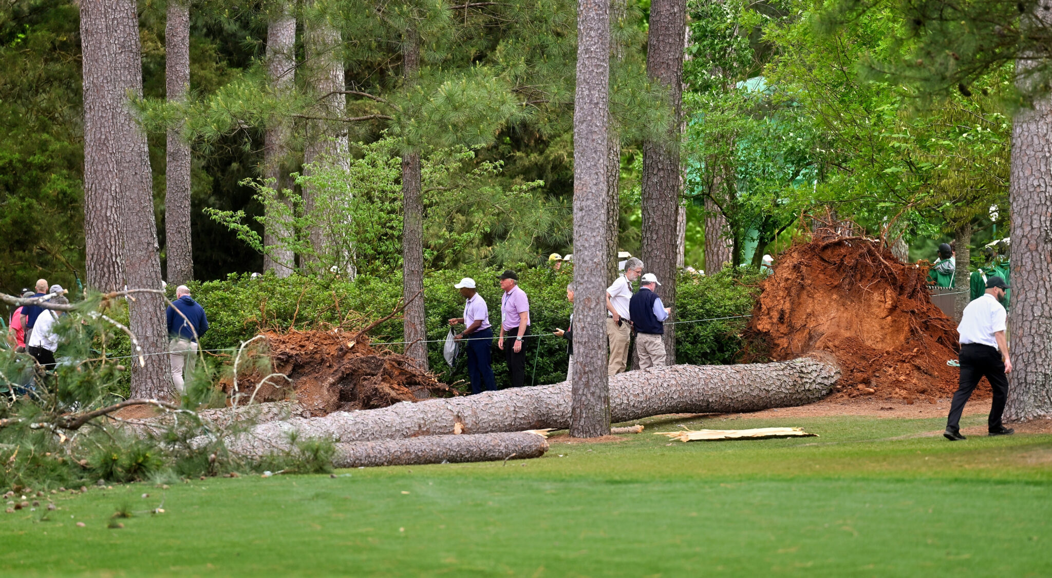 Photos Show Damage After Pine Trees Fall At The Masters