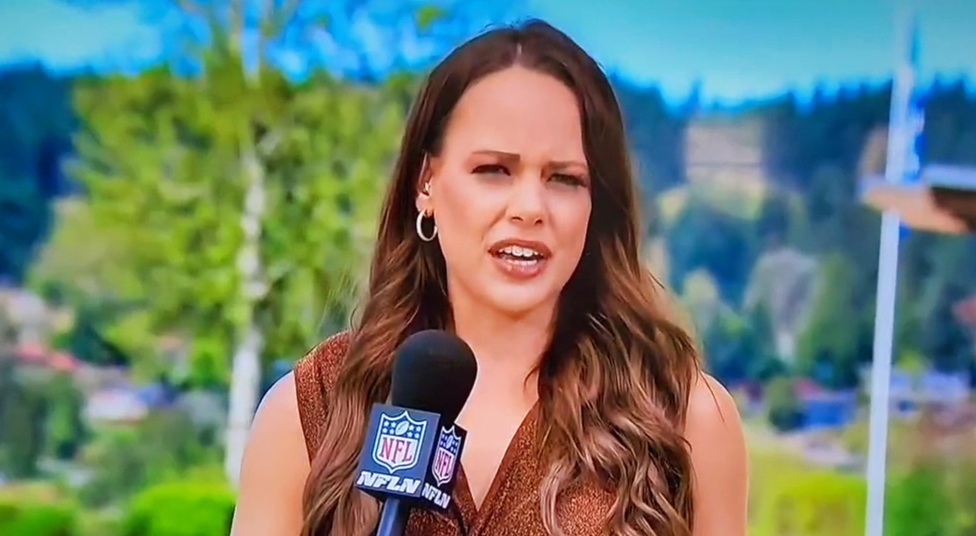 NFL Network Reporter Made Unfortunate Sexual Comment