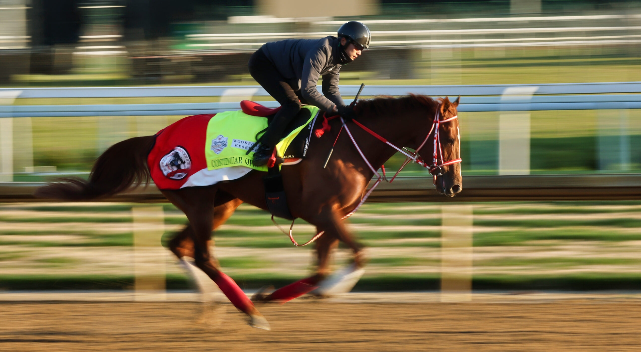 BREAKING 4 Horses Mysteriously Die Before Kentucky Derby