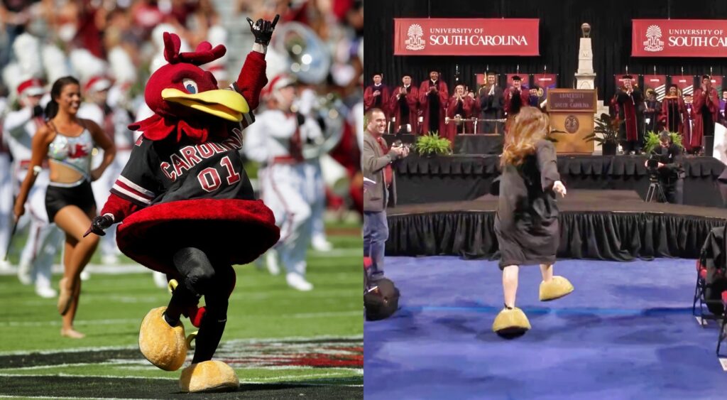 South Carolina Student Had Epic Mascot Reveal At Graduation