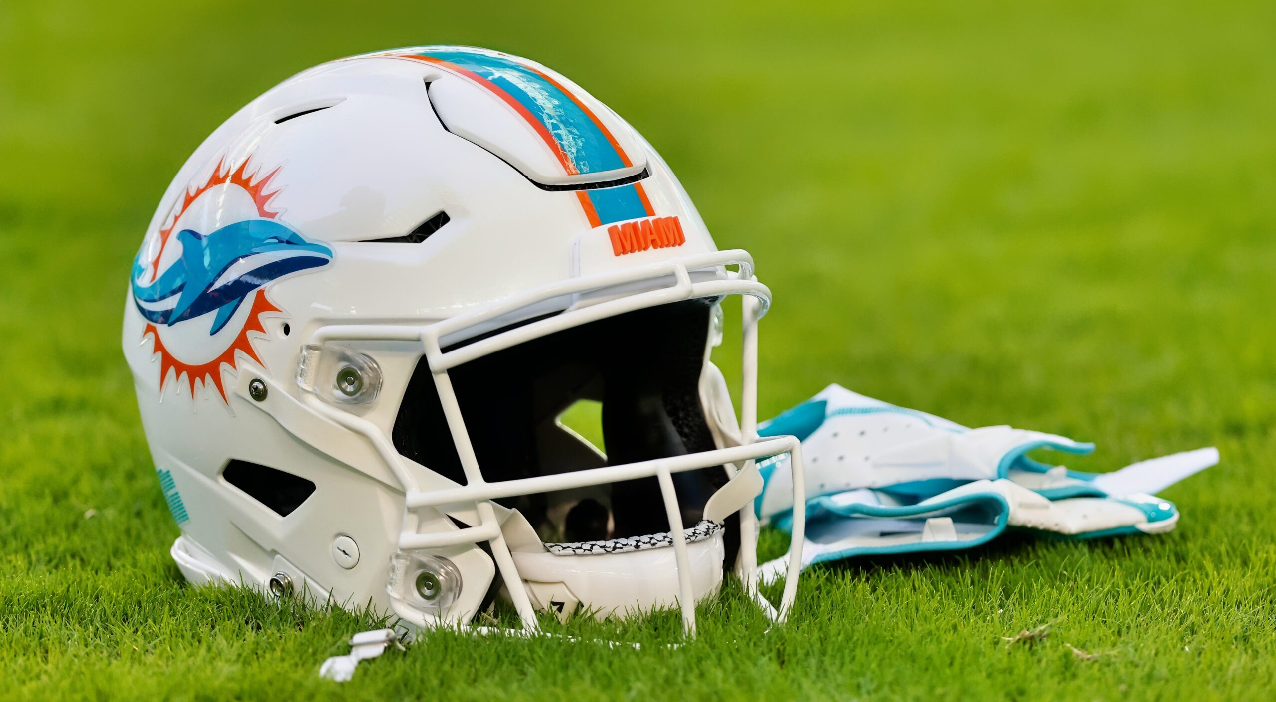 Former Dolphins player signs with WWE