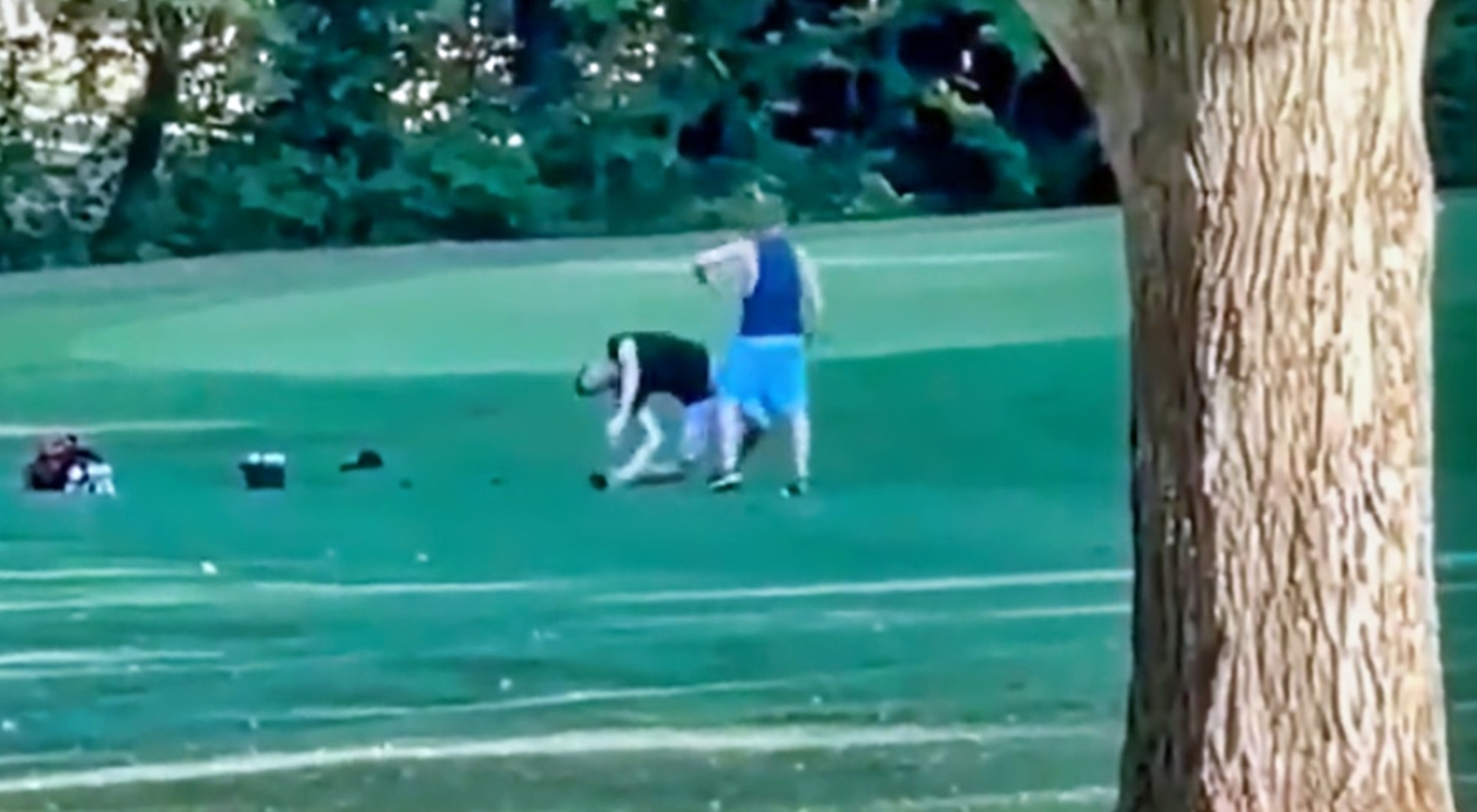 Golf Course Fight Ends With Brutal Knockout