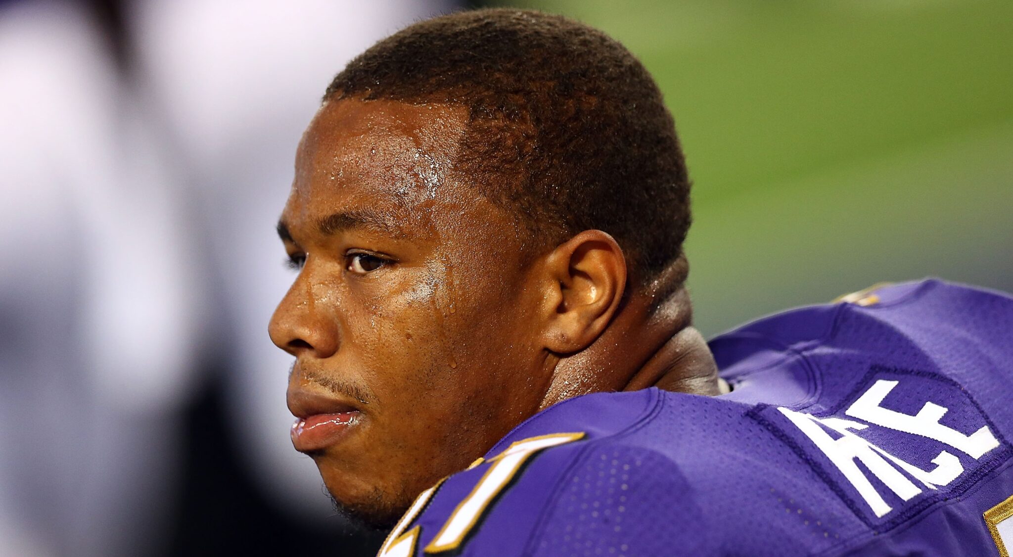 Baltimore Ravens Honoring Ray Rice Before Dolphins Game