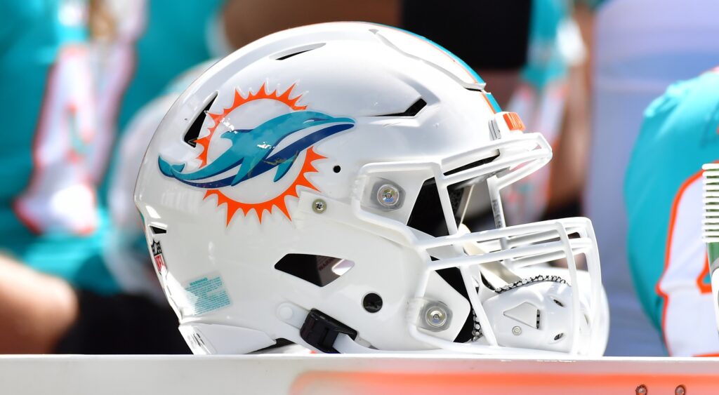 Dolphins helmet