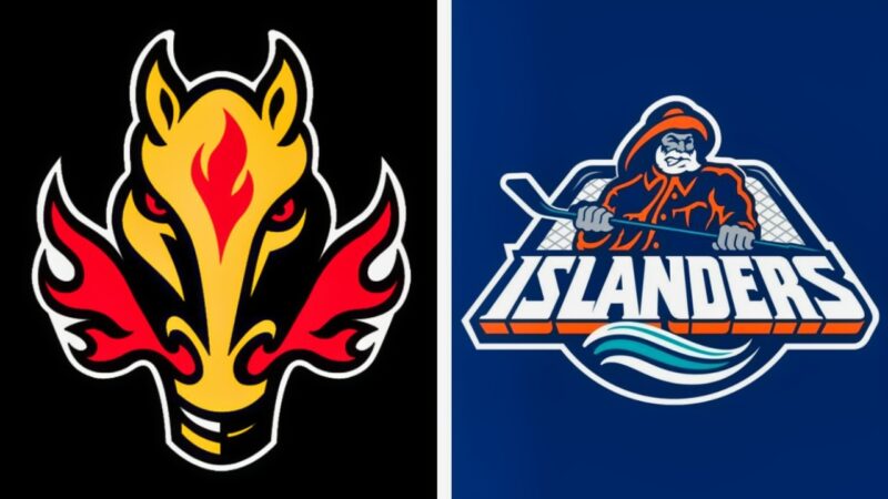 10 Oddest Jersey Logos In NHL History