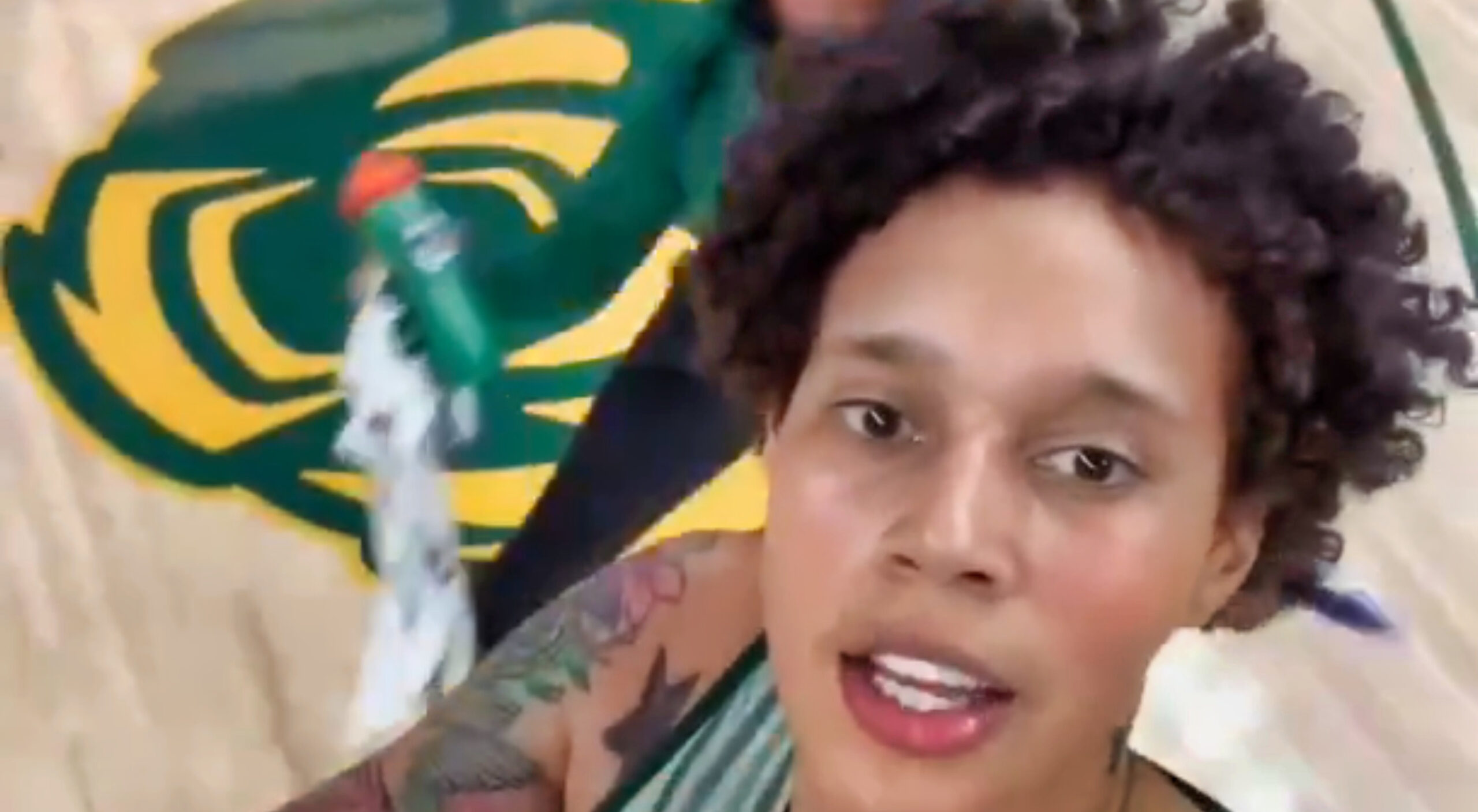 Everyone Noticed The Same Thing About Brittney Griner's Voice