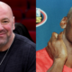 Dana White endorses Michael Jordan as potential MMA star