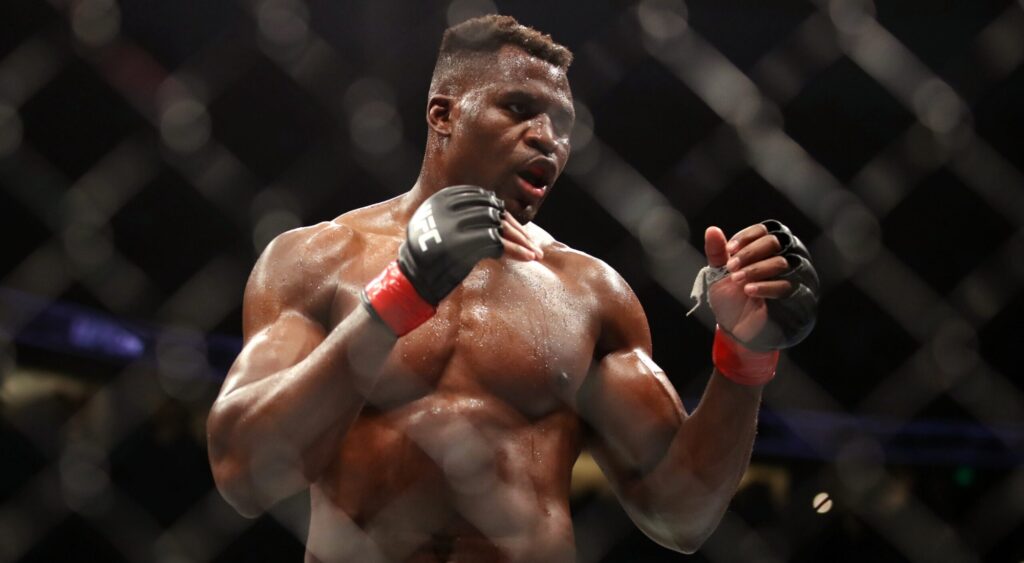 Francis Ngannou next opponent