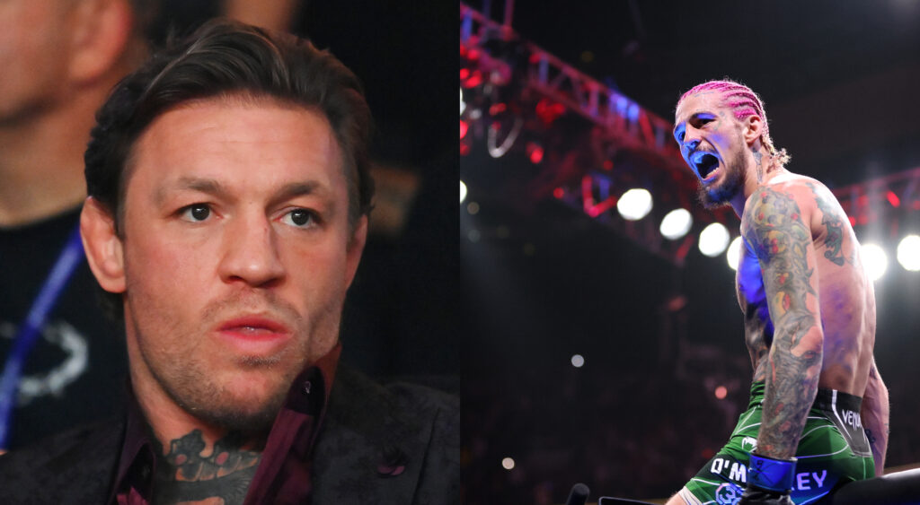 Sean O'Malley berates Conor McGregor