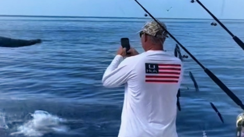 Man filming a marlin on the Gulf of Mexico. There was nearly a fatal marlin attack in the moment.