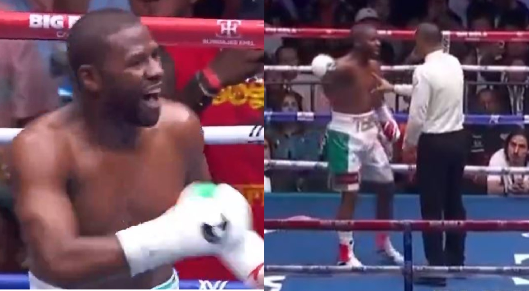 VIDEO Wild Scene Unfolds As Floyd Mayweather Fires Referee In The