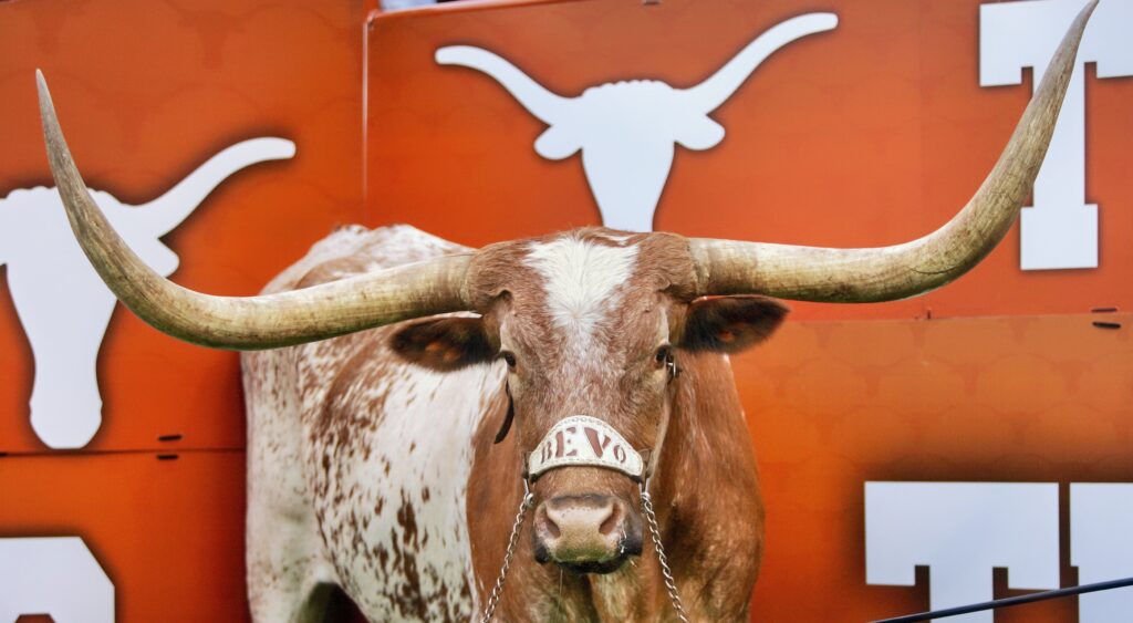 Texas Longhorns mascot Bevo. The team lost star RB CJ Baxter for the season.