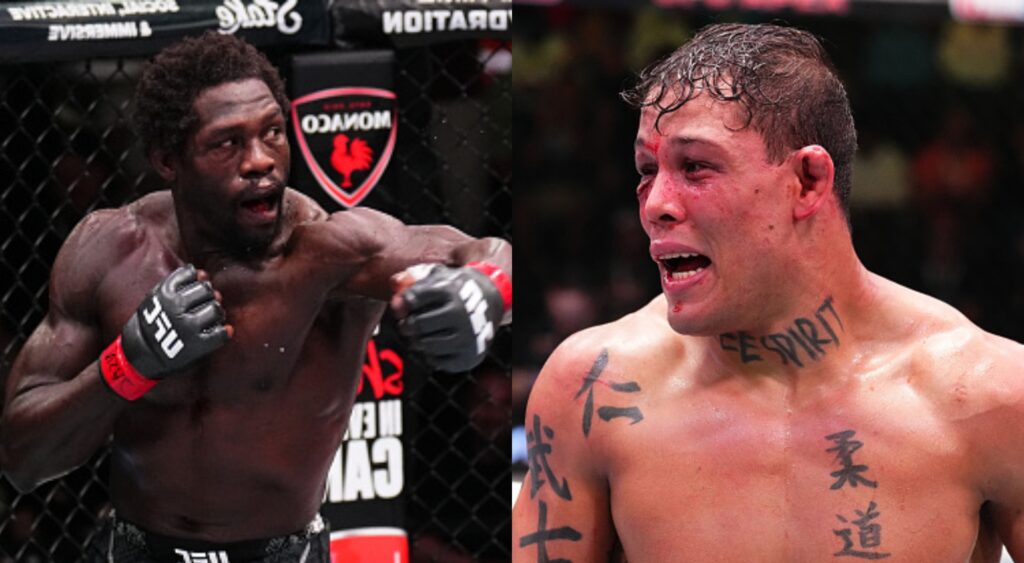 Jared Cannonier and Caio Borralho fight