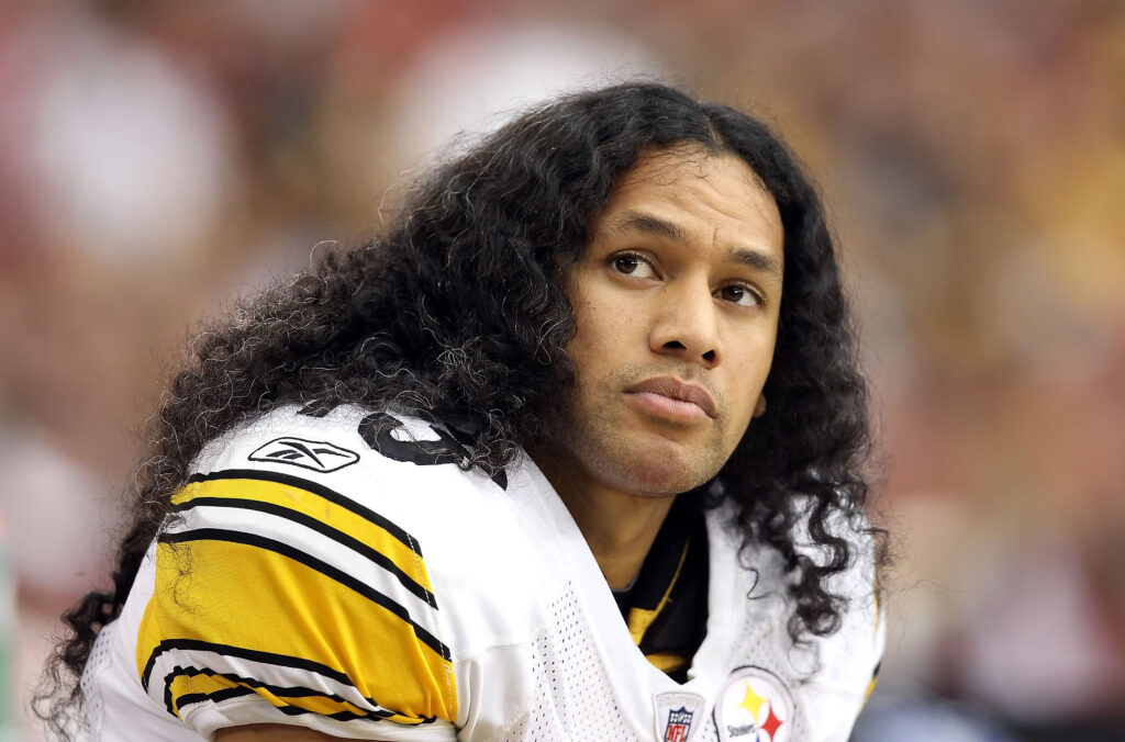 Injury-Prone Players In NFL: Troy Polamalu