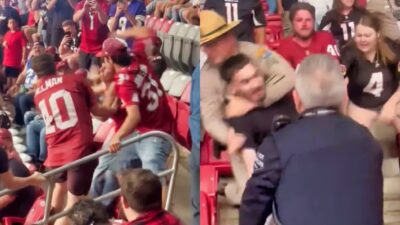 Arizona Cardinals fans fighting in stands