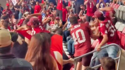 Arizona Cardinals fans fighting in stands