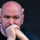 Dana White not interested in mingling fighters into his boxing venture