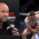 Dana White explained Sean O'Malley vs. Merab Dvalishvili stoppage