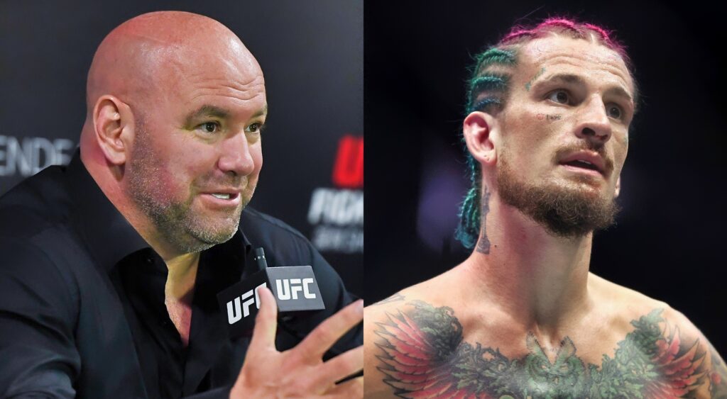 Sean O'Malley wants to join in Dana White's boxing venture