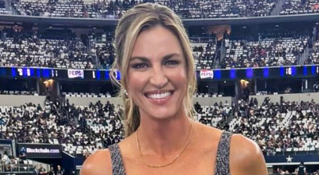 Erin Andrews at Cowboys Ravens game