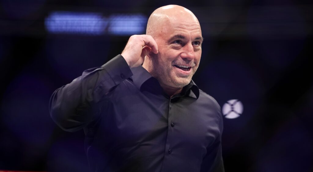 Joe Rogan picks two things he likes other than combat sports