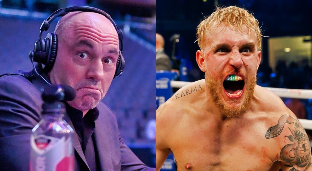 Joe Rogan defends Jake Paul's boxing skills