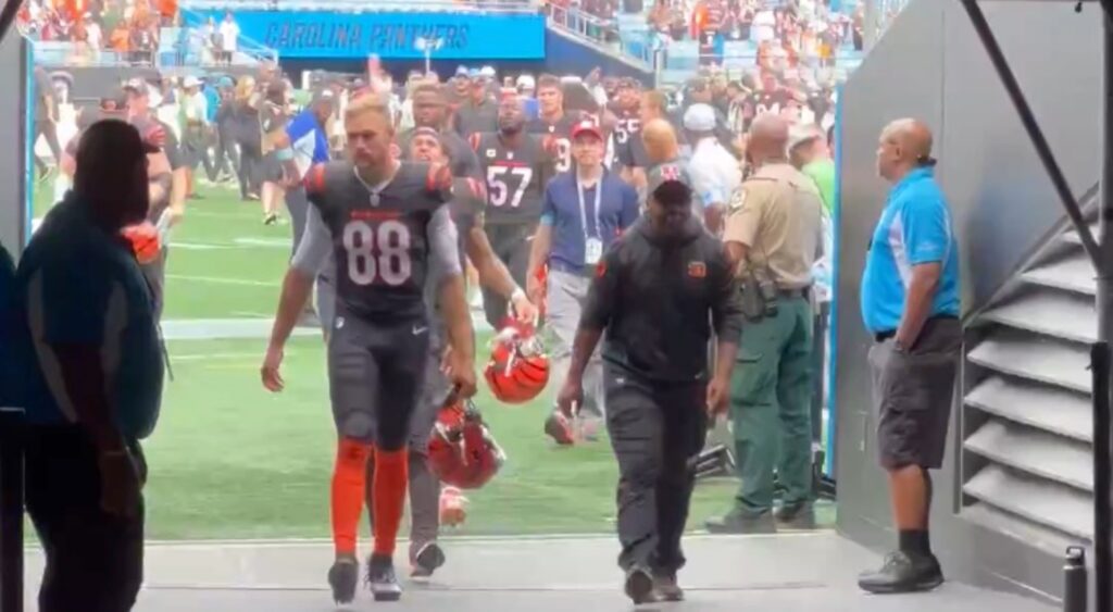 A Carolina Panthers fan pours beer on Bengals running back Chase Brown as he leaves the field.