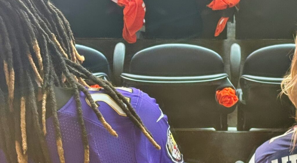 Fans at Steelers-Broncos game