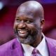 Shaquille O'Neal claimed he would be similar to the Greek Freak if he played today