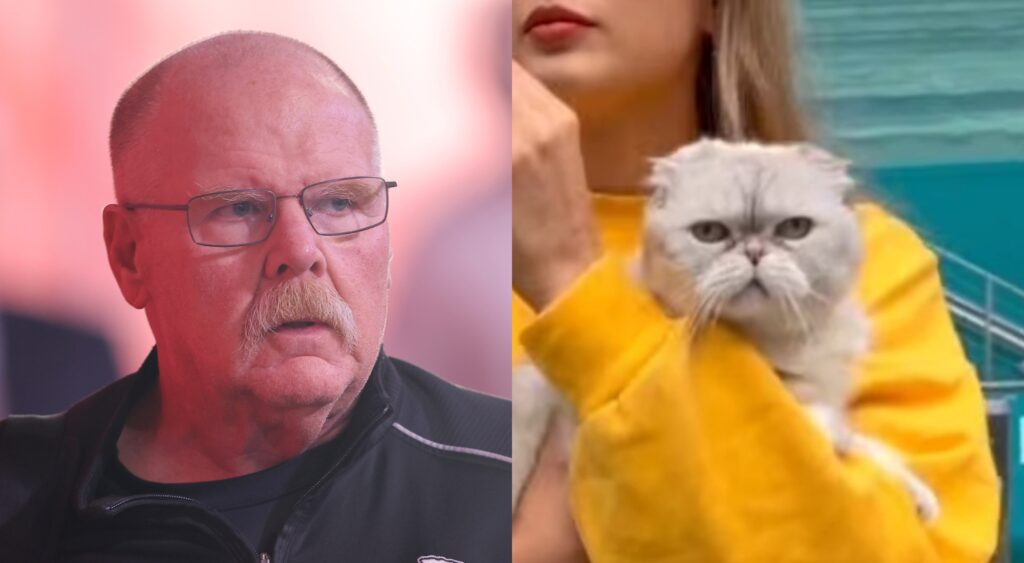 Andy Reid and Taylor Swift's cat Olivia 