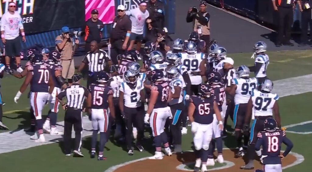 Bears and Panthers players 