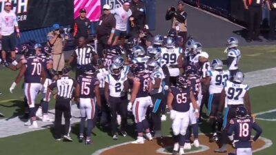 Bears and Panthers players