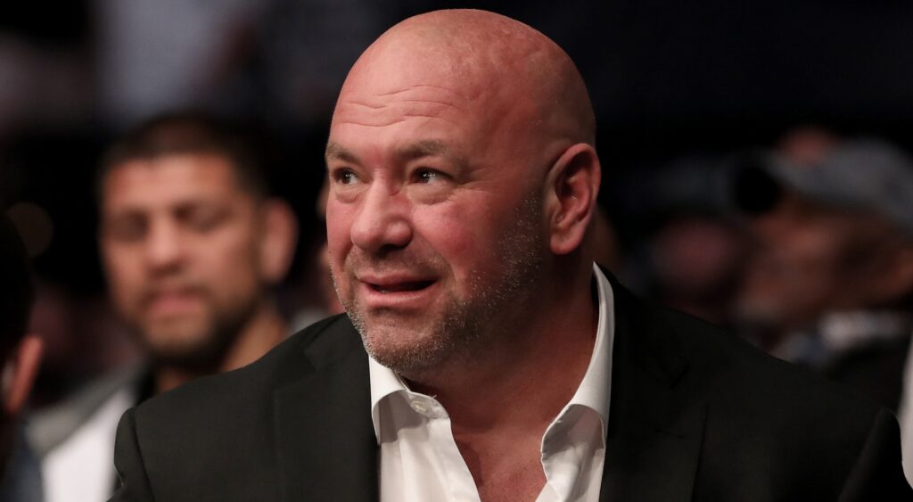 Dana White ditches UFC Africa plan