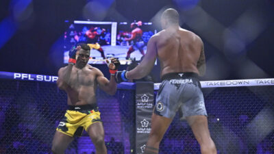 Francis Ngannou vs Renan Ferreira fight earnings