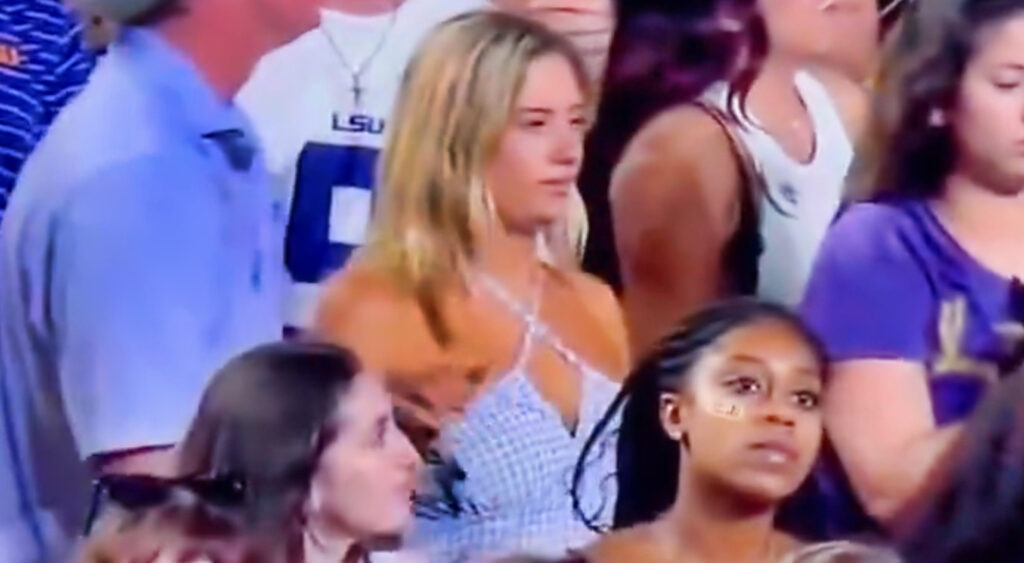 LSU Tigers fan in stands