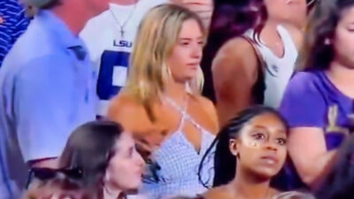 LSU Tigers fan in stands