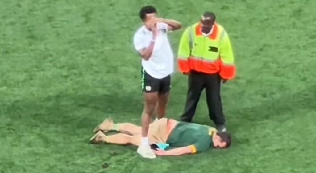 South Africa fan knocked out