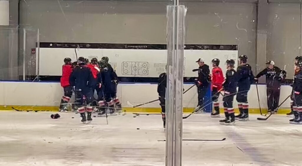 Rasmus Dahlin and Peyton Krebs of Buffalo Sabres fighting in practice.