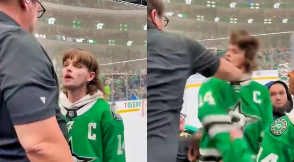 Dallas Stars fans fighting in stands