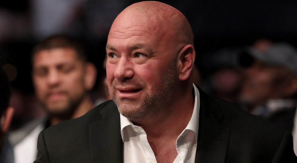 Dana White Boxing Plans Delayed 