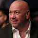 Dana White Boxing Plans Delayed